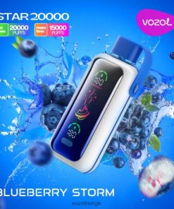 VOZOL Vape Norge blåbærstorm | VOZOL STAR 20 000 Z428XB400