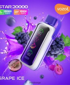 VOZOL Vape Norge drue is | VOZOL STAR 20 000 Z428XB404