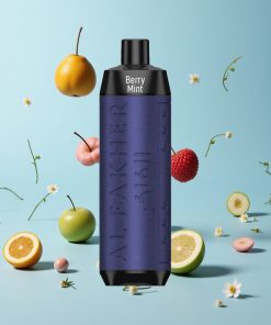 Al Fakher Crown Bar 8000 Bærmynte 18ml e-Væske Kapasitet Norway wholesale