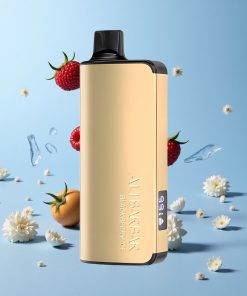 Alibarbar Ingot 9000 Puffs Bjørnebær Is 22ml Norge wholesale