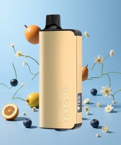 Alibarbar Ingot 9000 Puffs Blåbærsmakt 22ml Norge wholesale