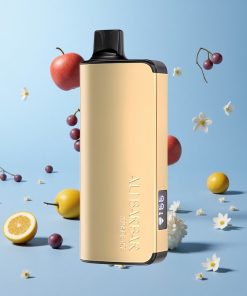 Alibarbar Ingot 9000 Puffs Drueis 2350mAh Norway wholesale