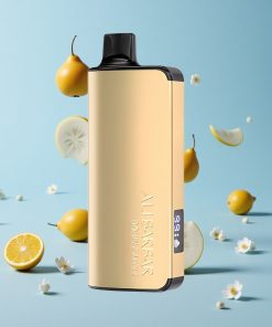 Alibarbar Ingot 9000 Puffs Svart Skog 22ml Norge wholesale