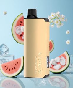Alibarbar Ingot 9000 Puffs Vannmelon Is 2350mAh Norway wholesale