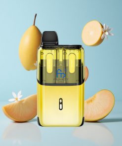 Fumot Ultra T32000 32000 Puffs Succulent Mango - Saftig Fersken Norway wholesale